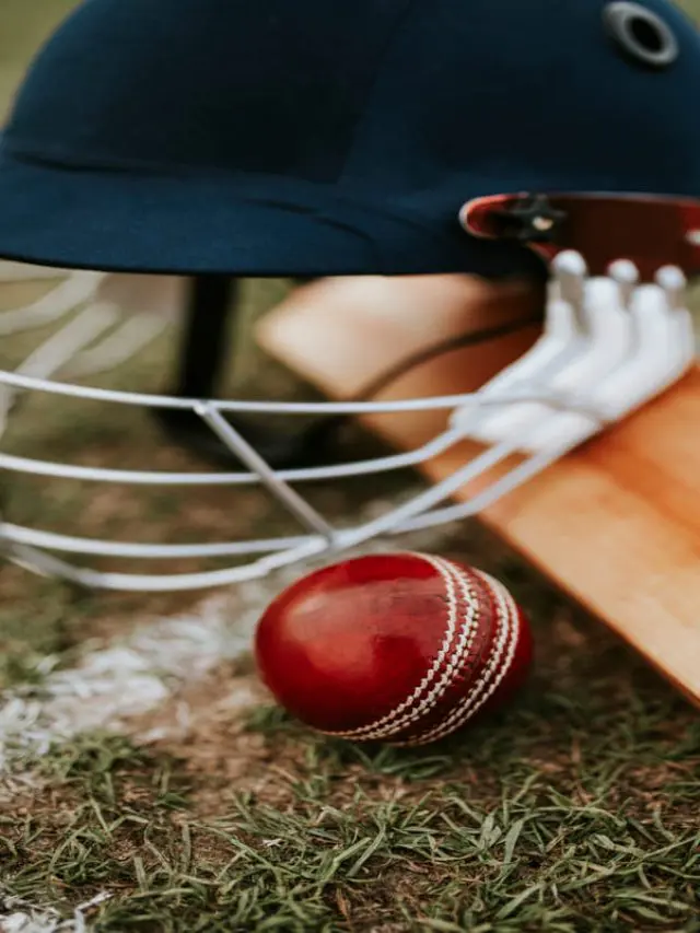 Are you passionate about cricket?