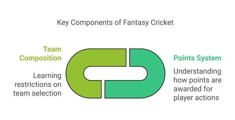 Key components of fantasy cricket