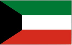 Dubai Cricket League