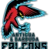 Antigua and Barbuda Falcons Antigua and Barbuda Falcons