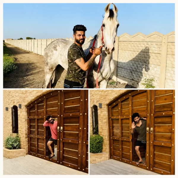 Ravindra Jadeja lifestyle article collage featuring a white horse at a farmhouse and views of a large wooden entrance at his Jamnagar property.